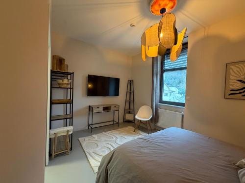 a bedroom with a bed and a tv and a window at Les Terrasses du Rhône, Baix in Baix