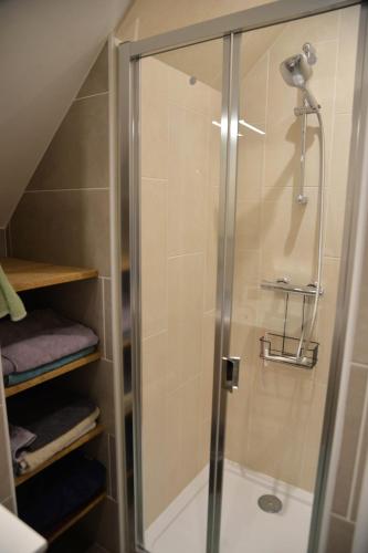 a shower with a glass door in a bathroom at Au logis de Bayard in Vareilles