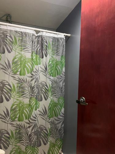 a bathroom with a shower curtain with a plant at Estudio in Zamora de Hidalgo