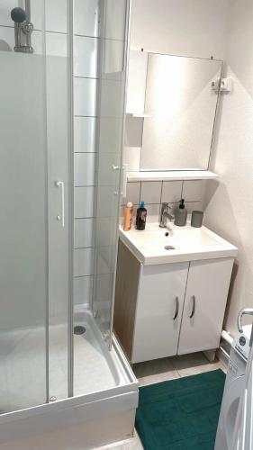 łazienka z prysznicem, umywalką i lustrem w obiekcie La parenthèse w mieście Saint-Quentin