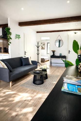 Jungle Suite - Draguignan