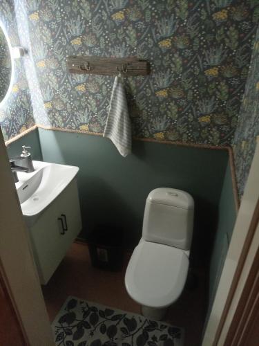 a small bathroom with a toilet and a sink at Willa Witsari 65m2 asunto in Kokkola