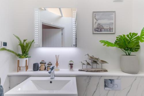 a bathroom sink with plants and a mirror at 5 Bed in Bosham oc-h33962 in Bosham