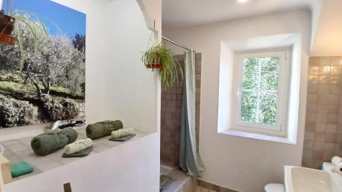 a bathroom with a shower and a painting on the wall at Mas Bella Vida - Chambres d'Hôtes in Puget-Théniers