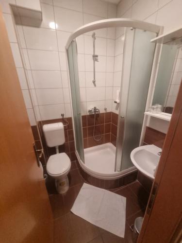 a bathroom with a shower and a toilet and a sink at Hotel Split in Usora