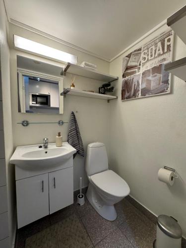 a bathroom with a white toilet and a sink at Kongensgate Apartments in Kristiansand