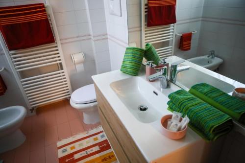 a bathroom with a sink and a toilet at Casa Gabry - your first step in the Dolomites in Belluno