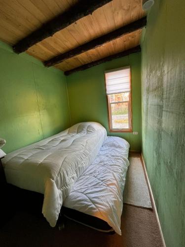 a bed in a green room with a window at Kutral-Ko in Hornopiren