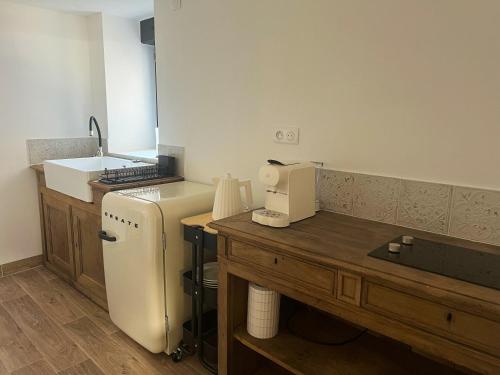 a kitchen with a white refrigerator and a sink at Le Moulin de Lauve in Saint-Hilaire-les-Courbes