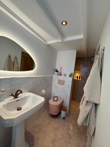 a bathroom with a sink and a pink toilet at BLUSH Bed and Breakfast in Sprundel