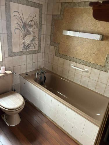 a bathroom with a bath tub and a toilet at maison indépendante in Millery
