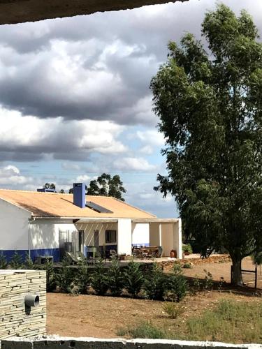 a white house with a tree in front of it at Herdade do Burrazeiro Turismo Rural no Alentejo in Borba
