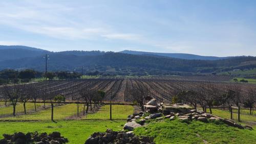 a field of crops with mountains in the background at Herdade do Burrazeiro Turismo Rural no Alentejo in Borba