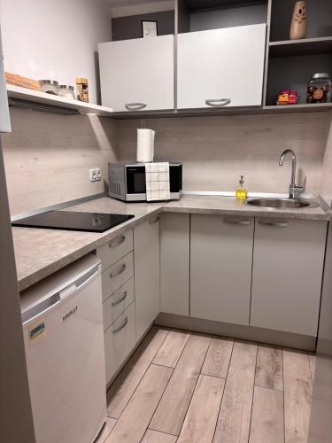 Apartment Elize