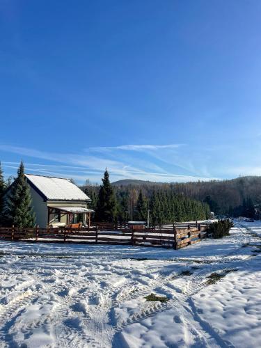 a snow covered field with a building in the background at Domek Na Miodowej in Sulistrowiczki