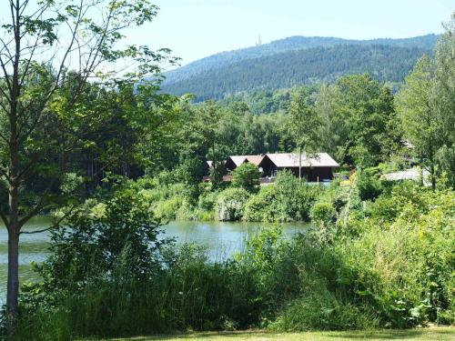 a house sitting on the side of a river at Haus 12 See- und Bayerwaldblick für bis zu 10 Gäste in Arrach