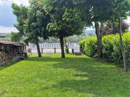 a yard with trees and a bench in the grass at Jacuzzi - Riverside - Garden in Kismaros
