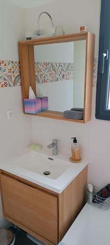 a bathroom with a sink and a mirror at Le Saint Jacques in Nans-les-Pins