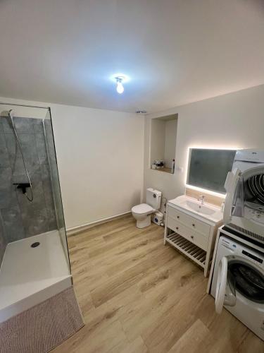a bathroom with a shower and a toilet and a sink at Duplex spacieux-2chambres-ideal vehicule electrique in Melle