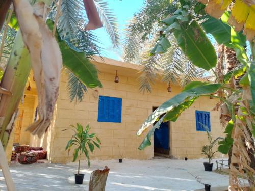 a building with blue windows and palm trees at Soliman House Siwa in Siwa