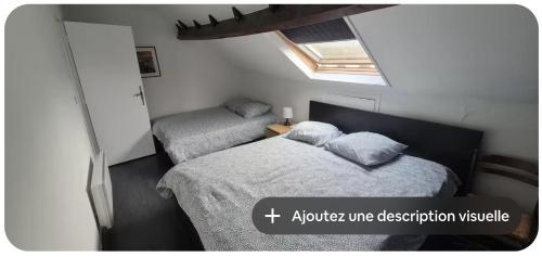 リールにあるDuplex Lille-Centreのベッド2台と天窓のある寝室