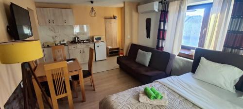 a small living room with a couch and a kitchen at Guliban in Kruševo