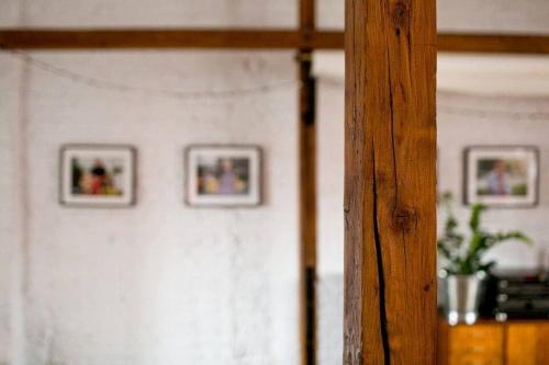 LEVELOFT - przestronny, stylowy apartament na zielonej ulicy w centrum