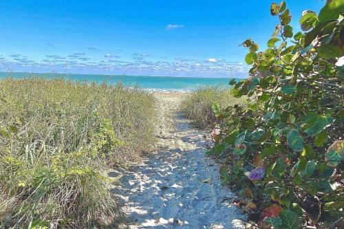 a sandy path through the grass on a beach at Pelican Cottage in Jensen Beach