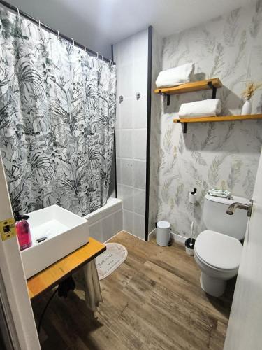 a bathroom with a toilet and a shower curtain at Apartamento El Olivar de Cáceres in Cáceres