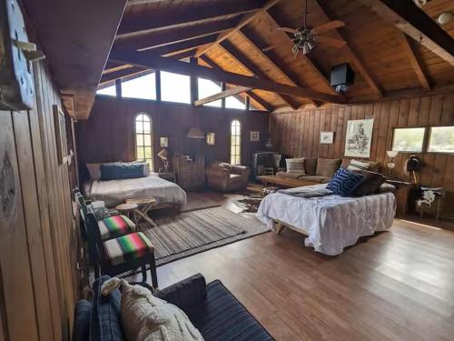 a large room with two beds and a couch at Tucson Mountain Guest Ranch in Tucson