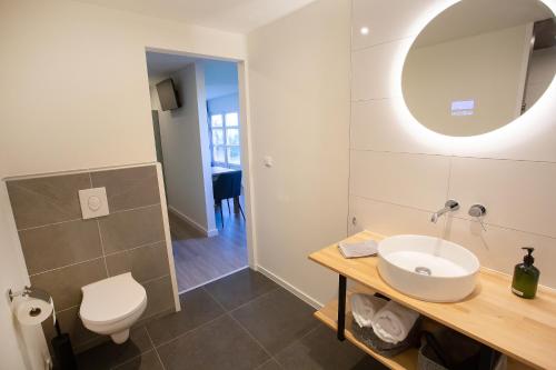 a bathroom with a sink and a toilet at BenB Tuskendepade in Oldeholtpade