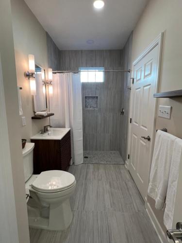 a bathroom with a toilet and a sink and a shower at Endicott Cottage in Richmond