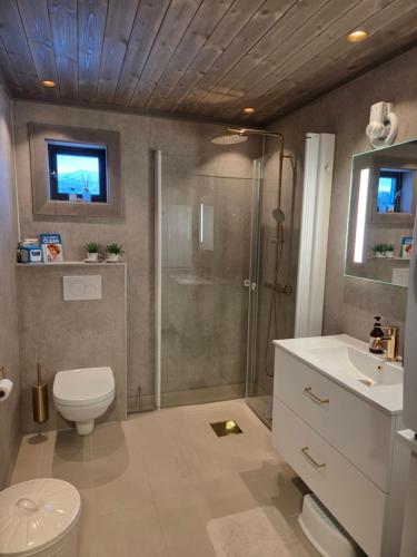 a bathroom with a shower and a toilet and a sink at Harteigen cabin Lofoten retreat in Vestvågøya
