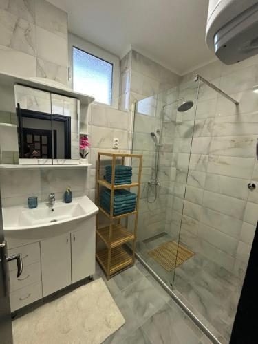 a bathroom with a shower and a sink and a glass shower stall at MONA app Apatin in Apatin