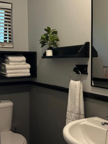 a bathroom with a sink and a toilet and a mirror at African Sun Guest House in Molen Drift