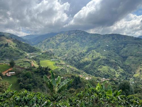 a view of a mountain valley with trees and houses at Kamalú Glamping in Medellín