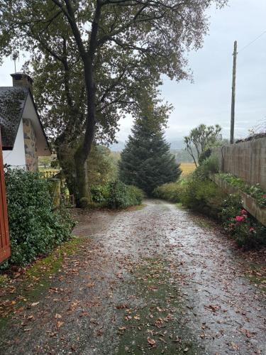 a dirt road with a tree and a house at Casa Pepe Albela - 20 min de Santiago in Santiago de Compostela