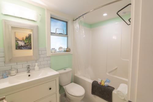 a bathroom with a toilet and a sink and a shower at Langley Suite with Full Kitchen in Langley