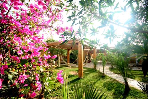 Jardín al aire libre en Dive Urge