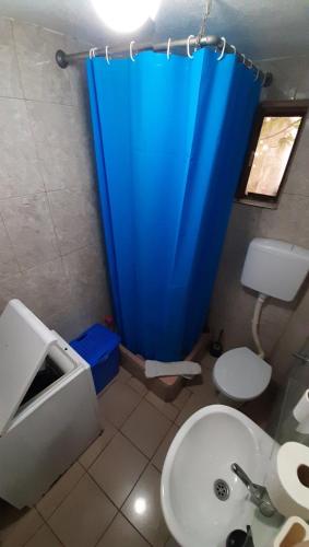 a bathroom with a toilet and a blue shower curtain at Apartman TATTOO R LUX in Negotin
