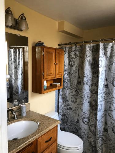 a bathroom with a toilet and a shower curtain at Stunning 2BD 2BA Ocean Front Condo Great View, AC in Wailuku