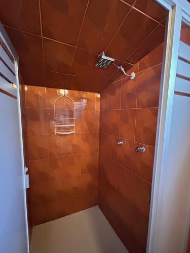 a bathroom with a shower with brown tiles at El Hogar de Carmelita in Guanajuato