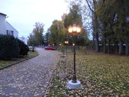 a street light on the side of a road with leaves at Zur Saale in Weißenfels