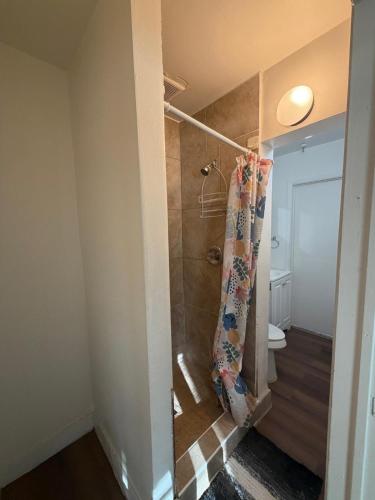 a bathroom with a shower with a shower curtain at La Unica in Austin