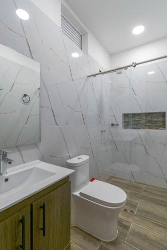 ein Badezimmer mit Toilette, Waschbecken und Dusche in der Unterkunft Don Joaquín in Buenavista