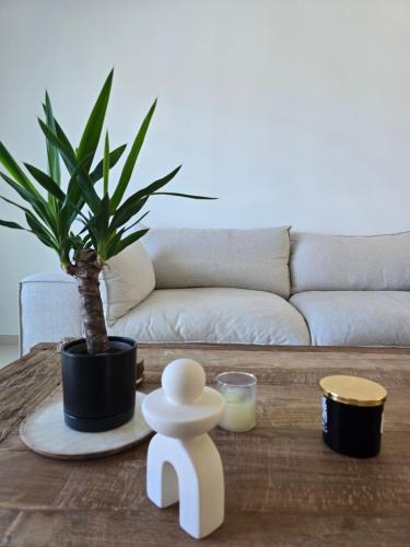 a coffee table with a potted plant on top of it at Villa Aura in Oyster Pond