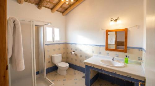 a bathroom with a toilet and a sink and a mirror at La Escribana in Constantina