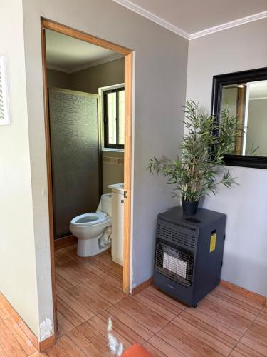a bathroom with a toilet and a plant on a heater at Radal Riverside Lodge in El Torreón