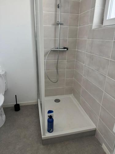 a shower stall in a bathroom with a toilet at Logis Le Pagnon in Brive-la-Gaillarde