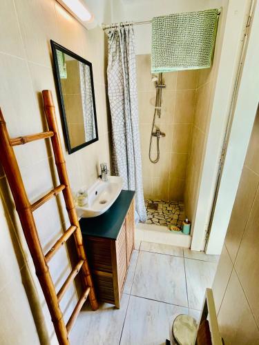 a bathroom with a sink and a shower at L essenCiel in Saint-Claude